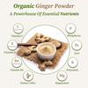 Organic Gyaan | Dry Ginger Powder | Ginger Powder | Organic Ginger Powder | Saunth Powder | Sonth Powder | Adrak Powder | Pounded Dry Ginger Powder | Certified Ginger Root Powder | Pure Adrak 100 Gm view 4