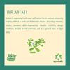 Ayurvedix Brahmi Ark Hydrosol | Bacopa Monnieri Distillate | Enhances Mind Wellness & Alertness | All-Natural Mental Clarity & Stress Relief | Herbal Supplement | 200ml (Pack of 2) view 3