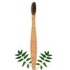 Mini Storify Truly Organic Neem Manual Toothbrush-Pack Of 1 Kids, Charcoal Activated Soft Bristles, Biodegradable, Eco-Friendly, Wooden Brush view 1