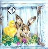 40-ct 5x5 Bunny Friend Napkin | Bunny & Ducky Cocktail Napkin | Light Blue Paper Napkin for Brunch Buffet | Happy Easter view 2
