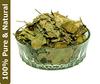 Darshan Sandhya Dried Gudmar, Gurmar Leaves, Sirukurinjan, Podapatri, Madhunashini, Gymnema Sylvestere (Pack of 200gm) view 2