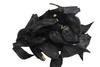 Aaswad Impex Peeled Black Garlic 500 Grams Manufactured By Llp view 1