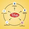 Swetha Telugu Foods Ginger Paste view 2