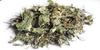 Ayushiv Brahmi Booti (Bacopa monnieri) - Indian Pennywort - Saraswati Leaves (50 GM) view 4