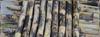 KB Netrue Sugarcane Ganna Eekh Fresh Plant Stick Stems Set of 10 Pieces (15 Inch) (10pcs) view 1
