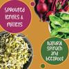 Gladful Sprouted Lentils & Millets Instant Chilla Dosa Mix, Natural Healthy Protein & Fiber-Rich Breakfast No Maida, No Palm Oil, Low GI, High Fiber 200 gram (Pack Of 2, Beetroot & Spinach) view 4