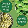 Gladful Spinach Protein Sprouted lentils & millets Instant Chilla - Dosa Mix, Natural healthy protein & fiber-rich food for kids and families, 200 g (Pack of 2) view 4