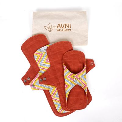 Avni Lush Washable Panty Liner | Organic Cotton | Pack Of 4 (200Mm) | Antimicrobial | Eco-Friendly And Reusable | Storage Pouch | Suitable For 18 - 25Yrs Old Teenager And Young Adults