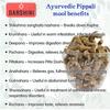 Darshini Pipla Mool Powder| Pipalmool | Long Pepper Root Powderr, Pack of 2, 200 gm X 2 = 400 gm view 4