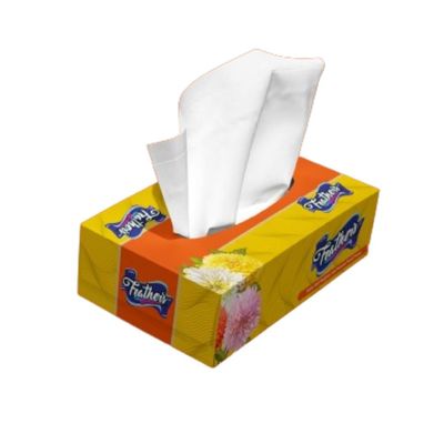 Feather's Facial Dry Tissue Super Soft & Super Absorbent Paper 2 Ply Pure Tree Pulp Made of Virgin Paper Biodegradable Face Tissue Wipes with 100 Pulls (Pack of 1, Random Color Box)