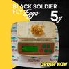 Black Soldier Fly Larvae Eggs - 5grams view 1