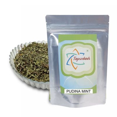 Topscorner Podina Mint, 400 Grams Pack