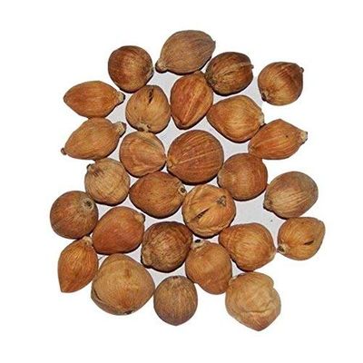Wiffo Sriphal Laghu Coconut - Set of 11 Pieces, Brown