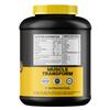 Muscle Transform Fruity Whey Protein Isolate, 26g Protein, 5.5 BCAAs, 6g Glutamine, 15g EAA | Muscle-Building Whey Protein Supplement Powder, Refreshing Whey for Men Women [Mango, 2kg] Free Gym Shaker Bottle view 4