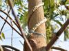 RUKDA Fresh Neem Giloy Sticks  A1 Quality Guduchi Stems for Ayurvedic & Herbal Wellness  50 inch Long, Fresh & Handpicked view 3