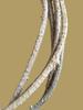 RUKDA Fresh Neem Giloy Sticks  A1 Quality Guduchi Stems for Ayurvedic & Herbal Wellness  50 inch Long, Fresh & Handpicked view 4