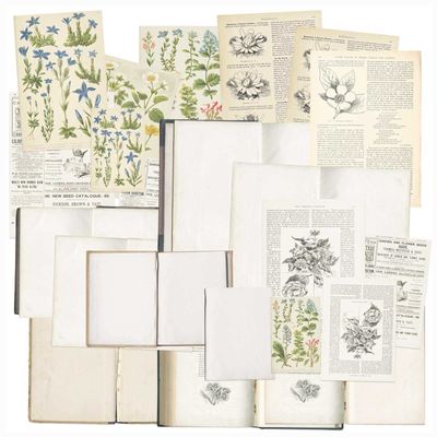 49 AND MARKET Curators Essential BOOKPLATES, White