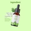 Aravi Organic 100% Pure Tea Tree And Peppermint Essential Oil For Healthy Hair and Skin - For Women and Men -15 ml Each view 3