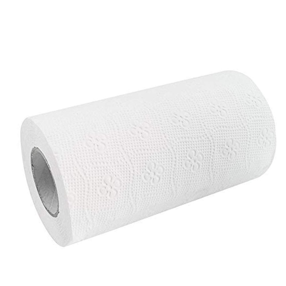 Dhwani Enterprise Kitchen Tissue Paper Towels Roll (Pack of 6) - 100 Cuts