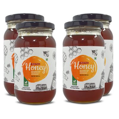 Goldwyn Honey: Multiflora Raw Honey | 100% Pure & Natural | Organic Honey | Unprocessed  Unfiltered  Unpasteurized | Single Origin  No Additives - Ethically Sourced | Honey Dipper (4 x 500 Gm)
