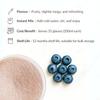 D'aromas Blueberry Ice Tea 2Kg, Instant Premix Ice Tea Powder, Ready To Drink, Refreshing Iced Tea, Summer Drink 500gm each (Pack Of 4) view 4