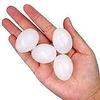 PAGONA - Fake Pigeon Eggs for Hatch Incubation Breeding Solid Small (Pack of 10) view 2