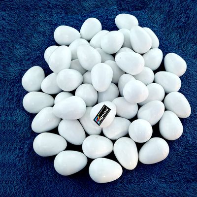 PAGONA - Fake Pigeon Eggs for Hatch Incubation Breeding Solid Small (Pack of 3)