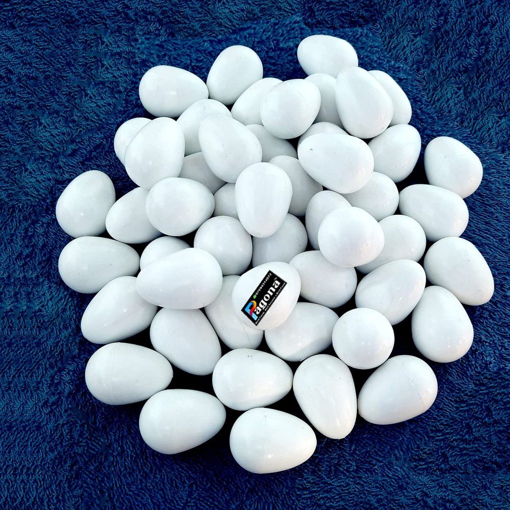PAGONA - Fake Pigeon Eggs for Hatch Incubation Breeding Solid Small (Pack of 3)