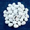 PAGONA - Fake Pigeon Eggs for Hatch Incubation Breeding Solid Small (Pack of 3) view 1