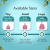 FLOREN Reusable Menstrual Cup for Women with Pouch | Ultra Soft, Odour and Rash Free | 100% Medical Grade Silicone | No Leakage | Protection for Up to 8-10 Hours | FDA Approved(Large) - Pack of 2 view 4