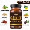 Guduchi  the ayurvedism GAIN-IT Tablets for Fast Weight & Muscle Gain and Bone Strength | For Under weight men and women | 500mg Tablets - 120 Tabs view 2