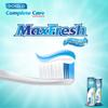 DOSELO COMPLETE CARE TOOTHPASTE FOR HEALTHY AND STORANG THEETH AND REFRESHING BREATH view 2