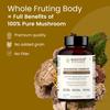 Rooted Active's 7-in-1 Mushroom Complex, Lion's Mane, Reishi, Cordyceps & more, Promotes overall wellbeing, full body detox, increase focus, mental clarity, gut health (60 Caps) view 2