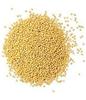 AARADHYA PRIYAL 'White Mustard', Quality Rai, Naturally Processed, from Farm Picked Fresh Seeds (100gm) view 2