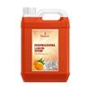 Shatras Dish Cleaner, an eco-friendly antimicrobial disinfectant Kills 99.9% germs, Eco friendly, pleasant fragrance that?ll ensure you triumph in your daily battles with disease causing view 1