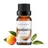 Esslux Mandarin Essential Oil | 100% Pure Natural Oil for Diffuser & Aromatherapy | Ideal for Skin Care, Soap Making, Candles & Perfume | Fresh, Citrusy Scent for a Revitalizing Experience, 60 ML view 1