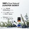 Esslux Juniper Berry Essential Oils - 100% Pure, Undiluted, Therapeutic Grade Juniper Berry Oil - Perfect for Aromatherapy, Peaceful Sleep & Calm Mind & Healthier Skin - Use on Skin - 60 ML view 2