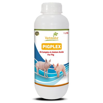VETMIDO Pigplex - Pig Growth Promoter, Vitamins, Amino Acids Supplement for Pigs, Swine, Piglets & Piggery - 1 LTR