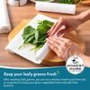 Honest Home 2 Ply Kitchen Towel Roll | 240 Pulls Total | 60 Pulls x 4 Rolls | Strong, Absorbent & Food Safe | 100% Virgin Pulp view 4