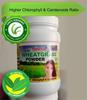 Organic Wheatgrass Juice Powder - 100 Grams view 2