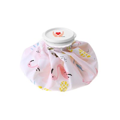 Dr Care Waterproof Ice bag for Hot and Cold Therapy pack for Relief from Body and muscle pain.(Multicolour)