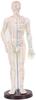 ACS Meridian Model Human Body Acupuncture Body Massager Point Statue Male Size - 50 CM, Multicolour view 1