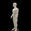 ACS Meridian Model Human Body Acupuncture Body Massager Point Statue Male Size - 50 CM, Multicolour view 2