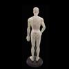 ACS Meridian Model Human Body Acupuncture Body Massager Point Statue Male Size - 50 CM, Multicolour view 3