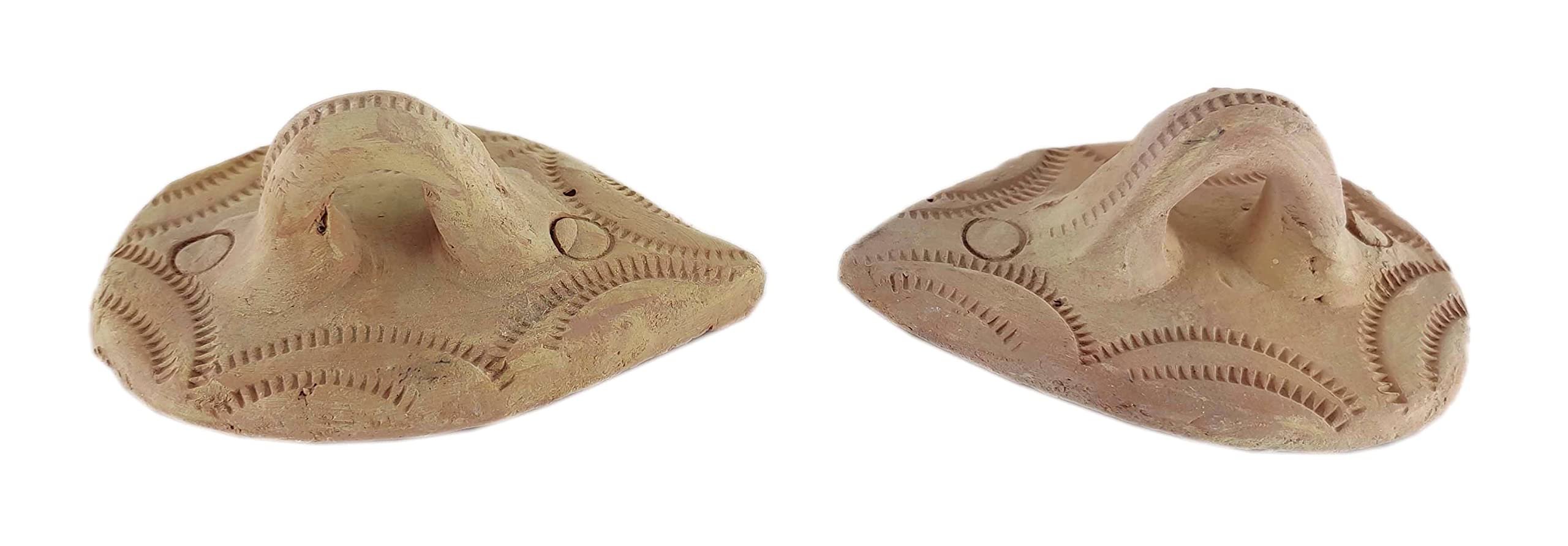 Set of organic foot scrubber  callus remover to exfoliate hard, dry dead skin on soles, heels - eco friendly foot file - pumice stone dead skin remover