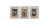 ALAMBYA Combo Set Of Granola, Breakfast Mix & Seeds & Berries Mix | Varities of Assorted Dry Fruit Mix with Berries, Nuts, Seeds & Fruits | Immunity Booster [ 200 Gram ] view 1