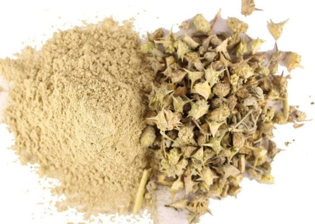 MyGodGift Gokhru Powder, Gokharu powder, Tribulus Terrestris, Gokshura Powder, Caltrops Powder Seed (100g)