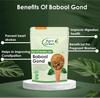 Agrogreen Gond Babool | Babool Ki Gond | Babool Gond - (800 gm) view 2