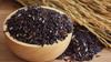 Pothigai Natural Combo Karuppu kavuni Rice 2KG/Forbidden Rice/Traditional Black Rice/Wild Black Rice/Traditional and Healthy (Pack of 2) view 4