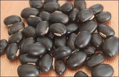 Mygodgift Black Kaunch beej, Konch Seed, Kala Koch ke beej, Alkushi, Kauch, Mucuna Pruriens, Velvet Beans, Kapikachhu, Cowitch, Cowhage (200g)